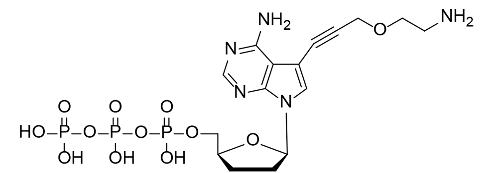 2-Aminoethoxypropargyl ddATP（ddATP-NH2）