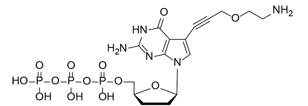 2-Aminoethoxypropargyl ddGTP（ddGTP-NH2）