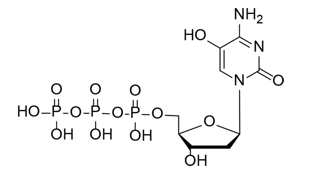 5-Hydroxy-dCTP