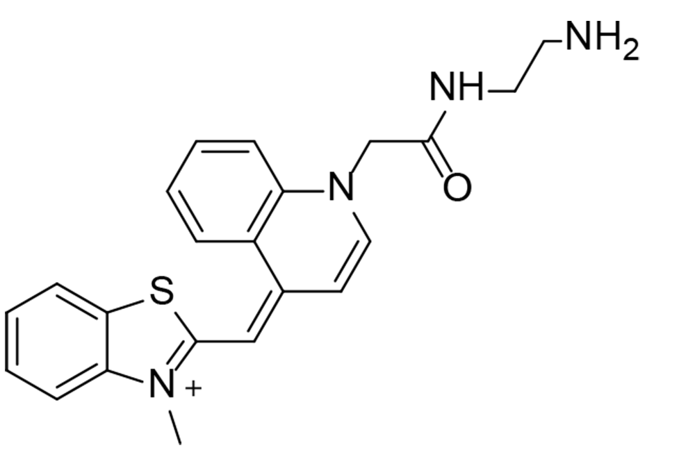 2-{[(4E)-1-{[(2-aminoethyl)carbamoyl]methyl}-1,4-dihydroquinolin-4-ylidene]methyl}-3-methyl-1,3-benzothiazol-3-ium