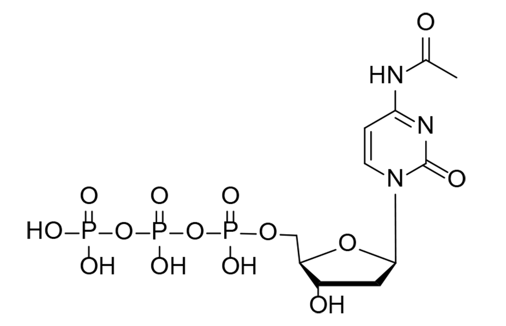 N4-Acetyl-dCTP