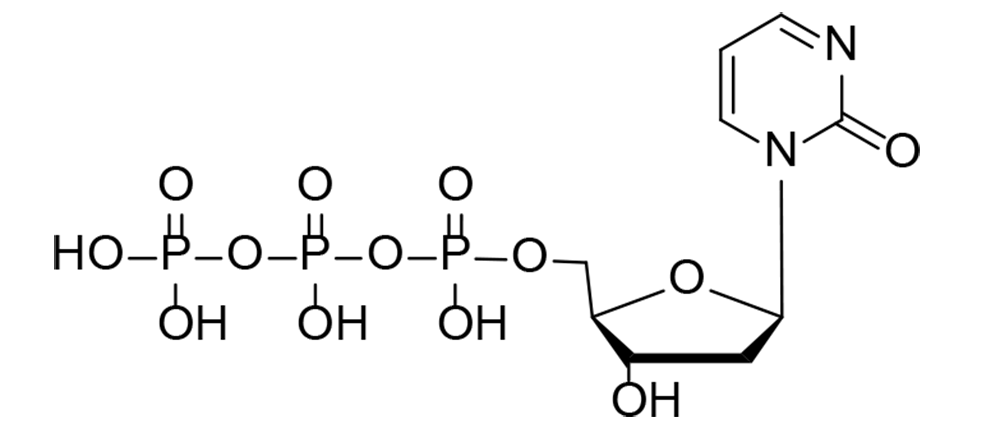 1-(2'-desoxy-β-D-ribofuranosyl)-2(1H)-pyrimidinon-5'-O-triphosphat