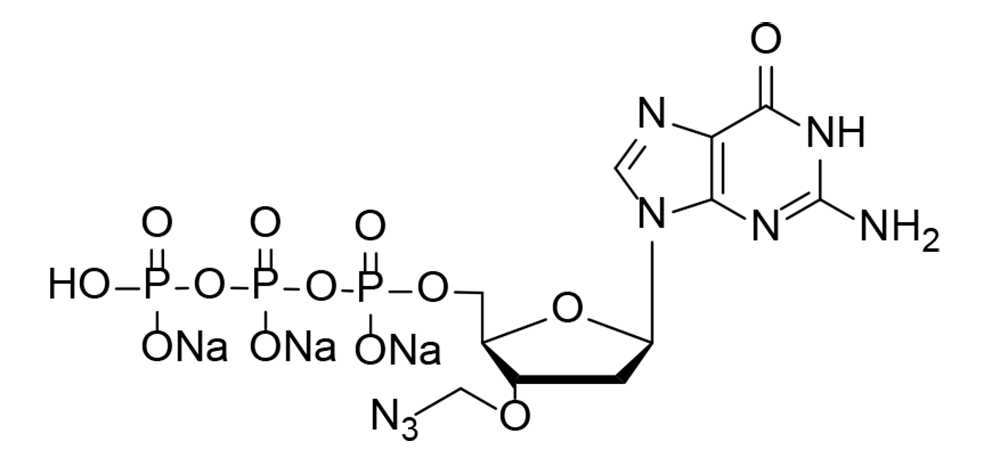 3'-O-Azidomethyl-dGTP